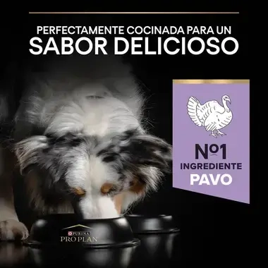 7613036731942_7 Sabor