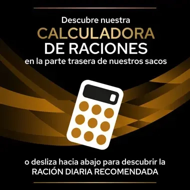 7613287886347_7 Calculadora