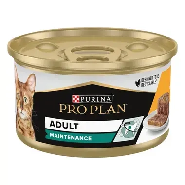 Gato Lata Adulto MAINTENANCE Terrina rico en pollo