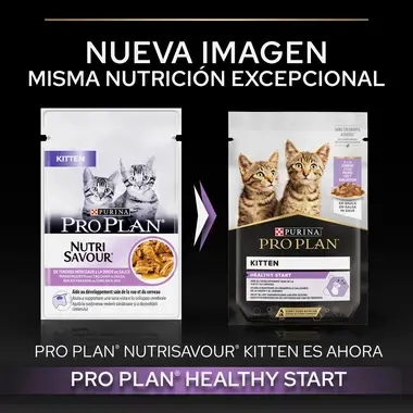 PURINA® PRO PLAN® Gato Kitten con Pavo en Salsa