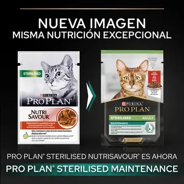 PURINA® PRO PLAN® Gato esterilizado con Buey en Salsa