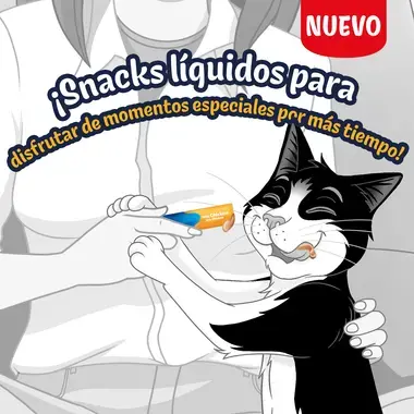 Snacks líquidos para gatos