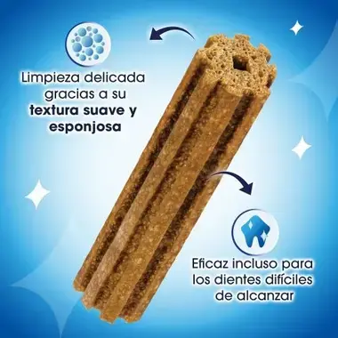 Instrucciones pack dentalife mini