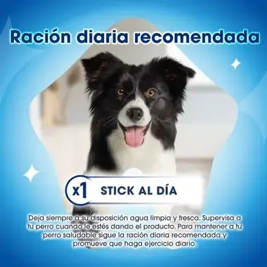Instrucciones pack dentalife mini