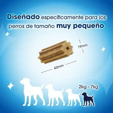 Instrucciones pack dentalife mini