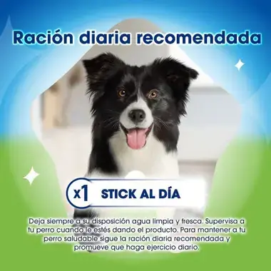 PURINA® DENTALIFE® ACTIVFRESH Small