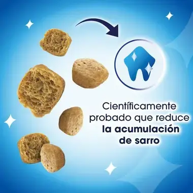Detalle de snack