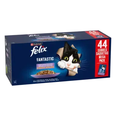 Fantastic en gelatina