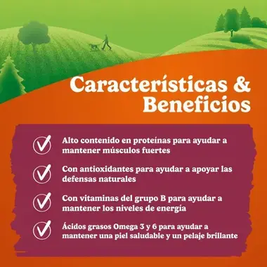 Lista de beneficios nutricionales: proteínas, antioxidantes, vitaminas B y Omega 3 y 6 para la salud de los perros.