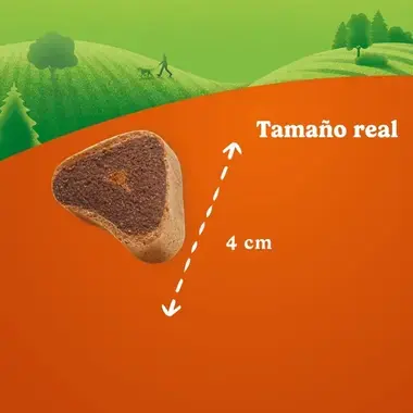 Imagen que muestra el tamaño real de un premio B-Steak para perro, con una medida aproximada de 4 cm de largo.