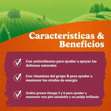 Infografía de beneficios: antioxidantes para defensas, vitaminas B para energía y Omega 3 y 6 para piel y pelaje sanos.