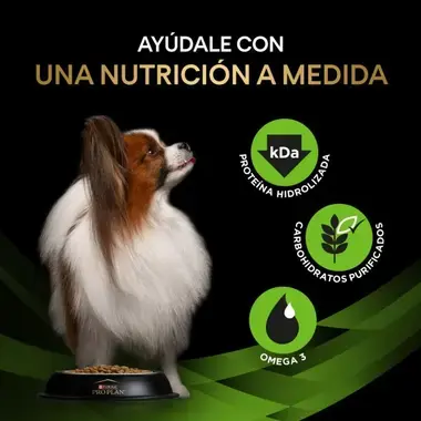 Ayúdale con una nutrición a medida: proteína hidrolizada, carbohidratos purificados y Omega 3.