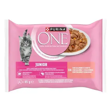 Vista frontal del multipack Purina ONE Junior para gatitos con salmón y zanahorias.