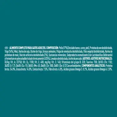 texto