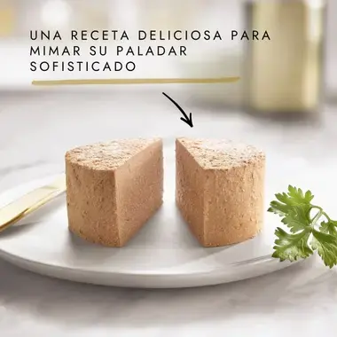Dos porciones de mousse Gourmet Gold en plato, con texto sobre receta para paladares sofisticados.