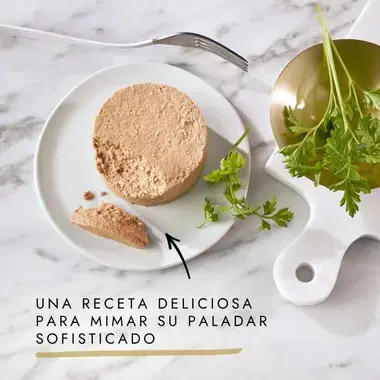 Mousse Gourmet Gold servido en plato con perejil y texto sobre receta deliciosa.