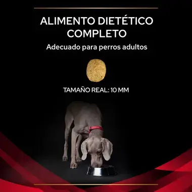 dieta