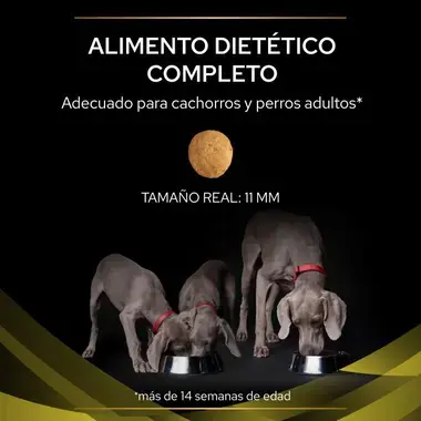 alimento