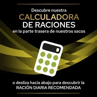 calculadora