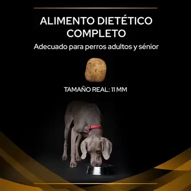 alimento