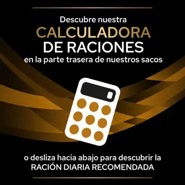 calculadora