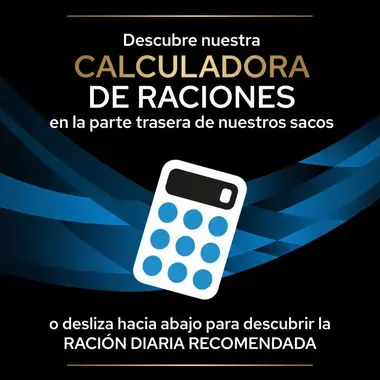 calculadora