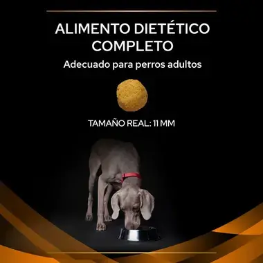 alimento