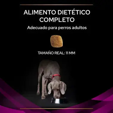 alimento