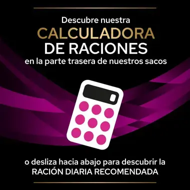 calculadora