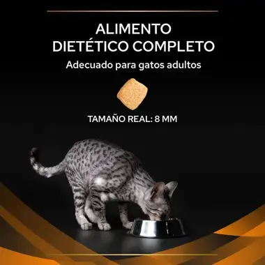 alimento