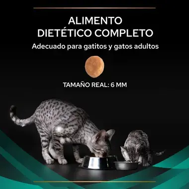 nutricion