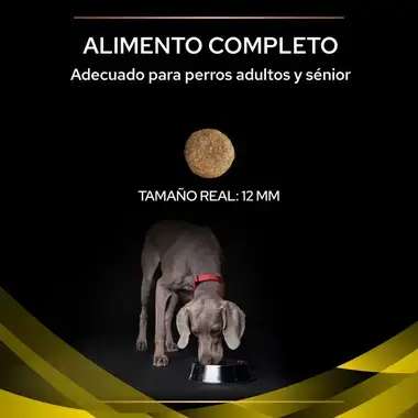 alimento