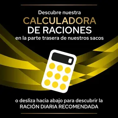 calculadora