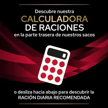 calculadora