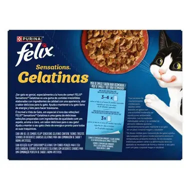 trasera producto