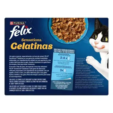 trasera producto