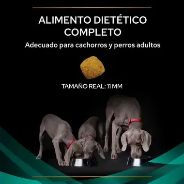 alimento