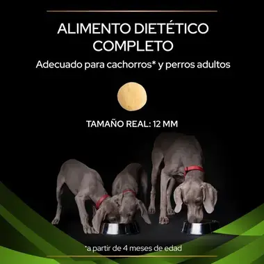 alimento
