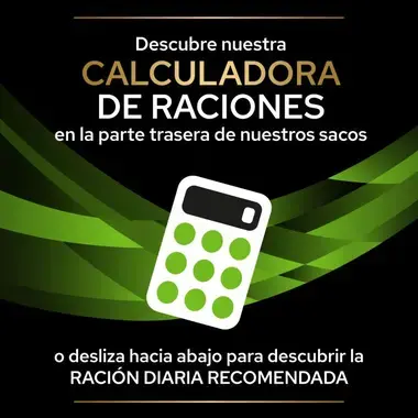 calculadora