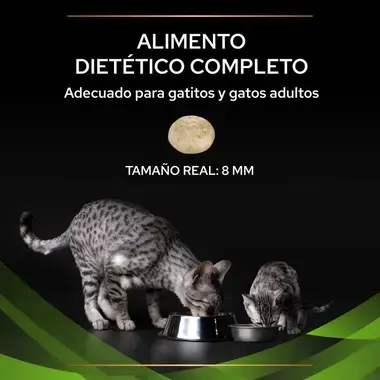 nutri info