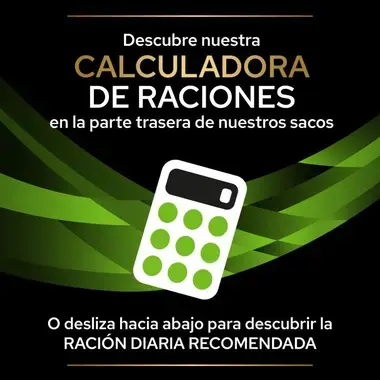 calculadora