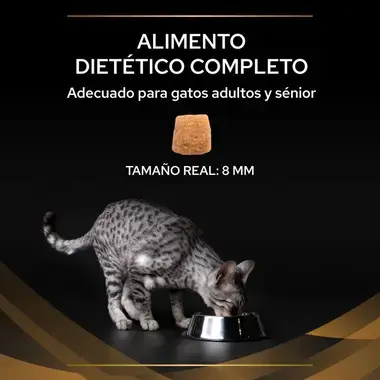alimento