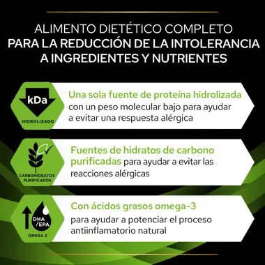 dieta