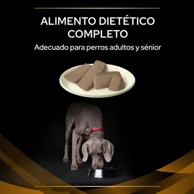 dieta