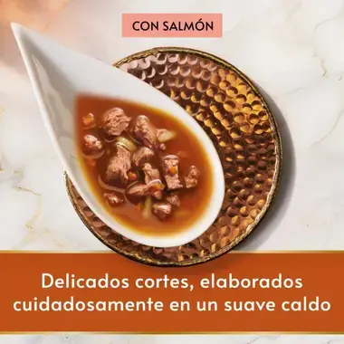 PURINA® GOURMET™ Soup Royale Salmón