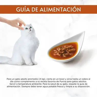 PURINA® GOURMET™ Soup Royale Salmón