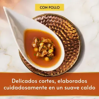 PURINA® GOURMET™ Soup Royale Soup Royale con Pollo