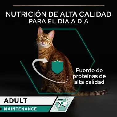 nutricion