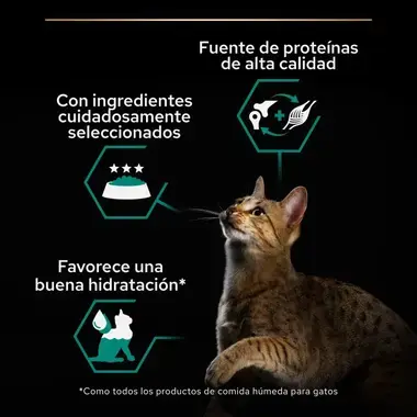 alimento