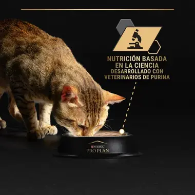 ciencia